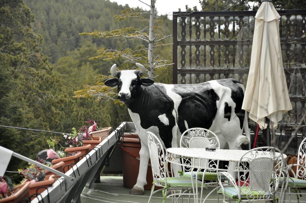 Hotel Amoretes 라 몰리나 외부 사진
